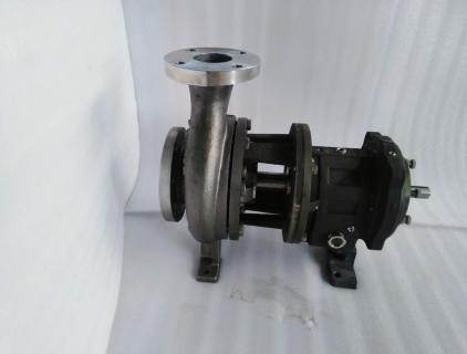 ANSI Bare Pump