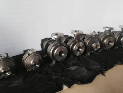 3196 Bombas de eixo nu em material 316SS para o mercado asiático
