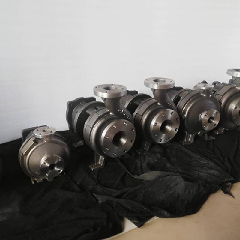3196 Bare Shaft Pumps in 316SS Material for Asian Market