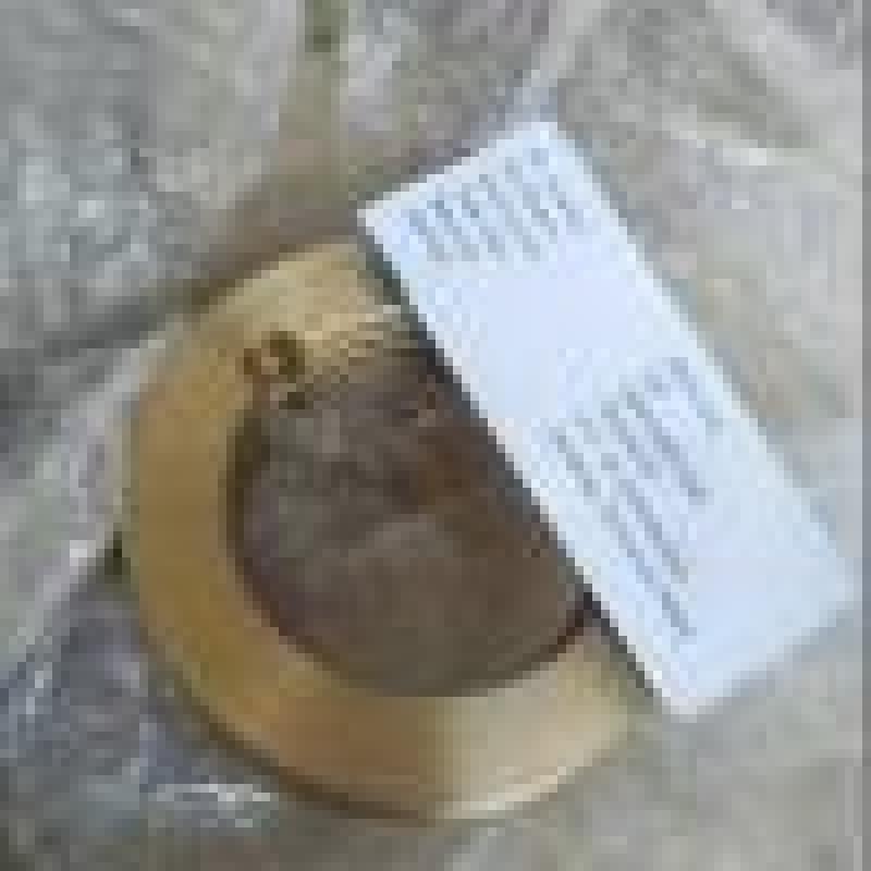 ZPP and Z22 Double Suction Pump
