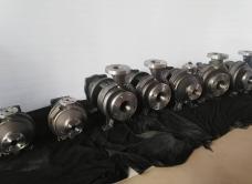 3196 Насосы с голым валом из материала 316SS для азиатского рынка