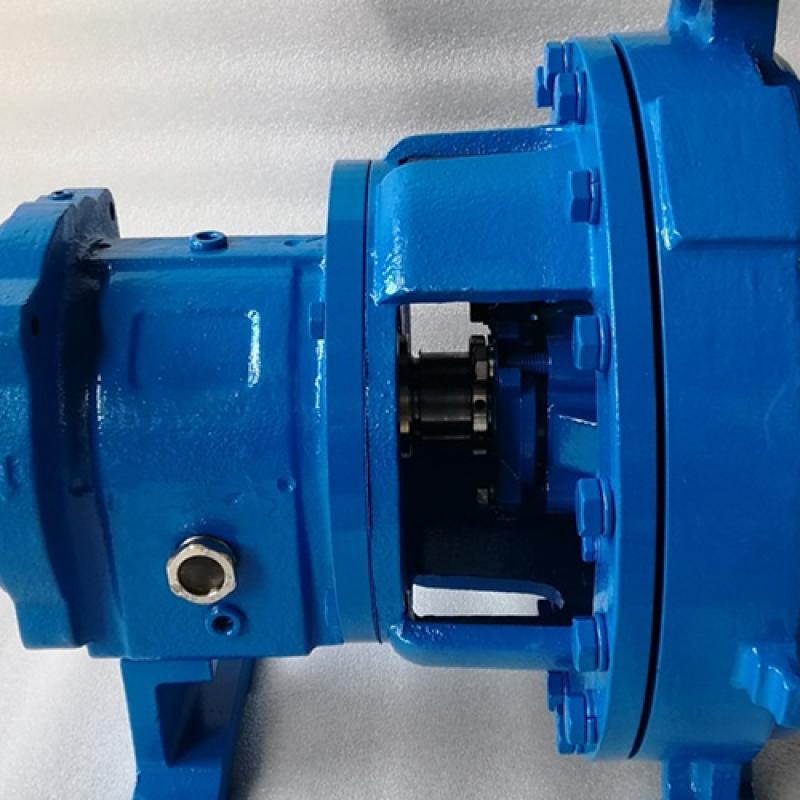 3196 Bare Shaft Pumps in 316SS Material for South America Market